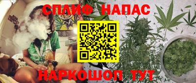ГАЛЛЮЦИНОГЕННЫЕ ГРИБЫ Лесосибирск