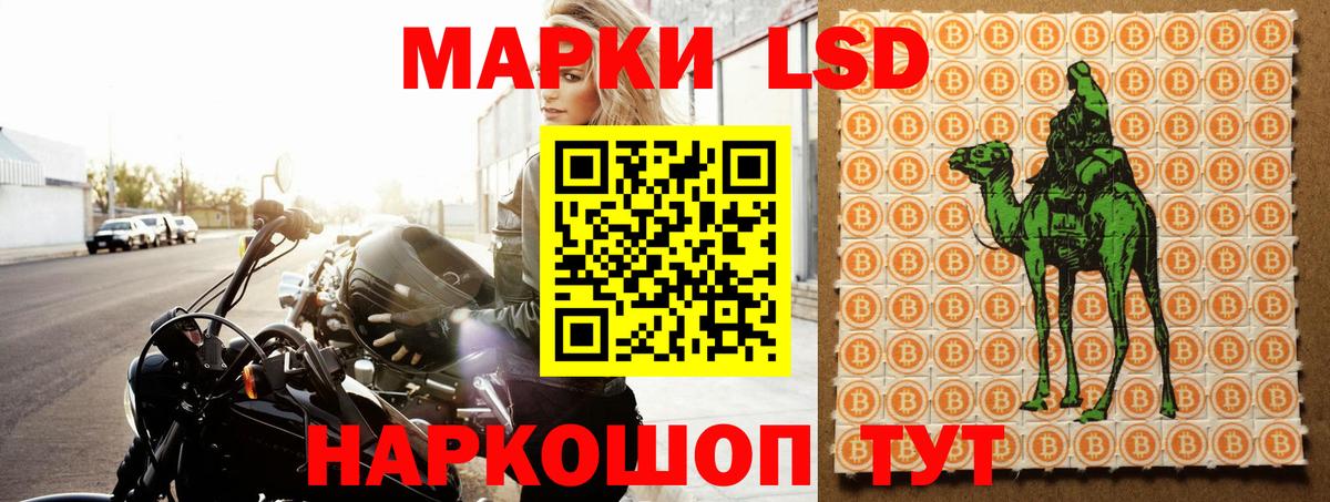 Лсд 25 экстази ecstasy  ЛСД экстази ecstasy  Дедовск  Вход с VPN 