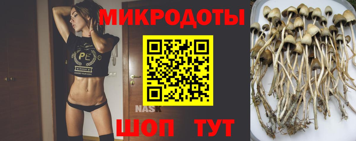 хочу наркоту  Галлюциногенные грибы ЛСД  Вход с VPN  Псилоцибиновые грибы прущие грибы  Дедовск 