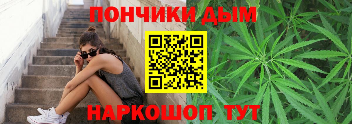 Бошки марихуана семена Дедовск